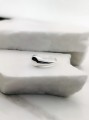 sygnet_srebrny_small